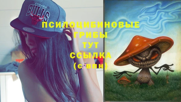прущие крисы Волосово