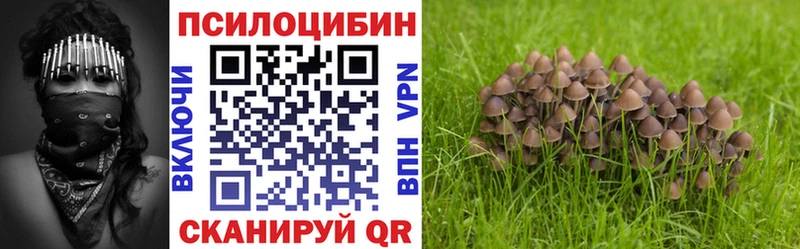 Галлюциногенные грибы Psilocybine cubensis  MEGA зеркало  Демидов 